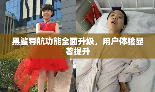 黑鲨导航功能全面升级，用户体验显著提升