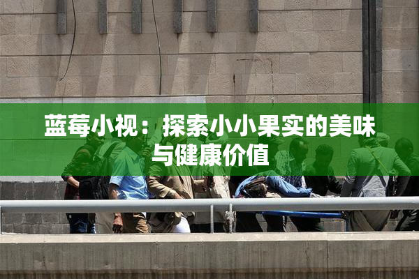 蓝莓小视：探索小小果实的美味与健康价值