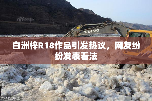 白洲梓R18作品引发热议，网友纷纷发表看法