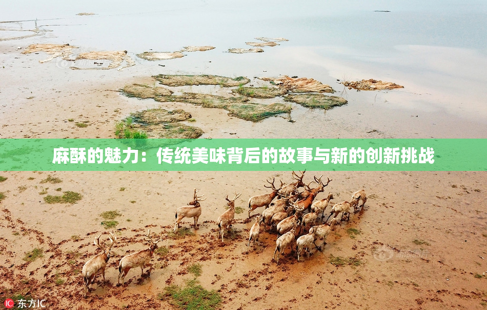 麻酥的魅力：传统美味背后的故事与新的创新挑战