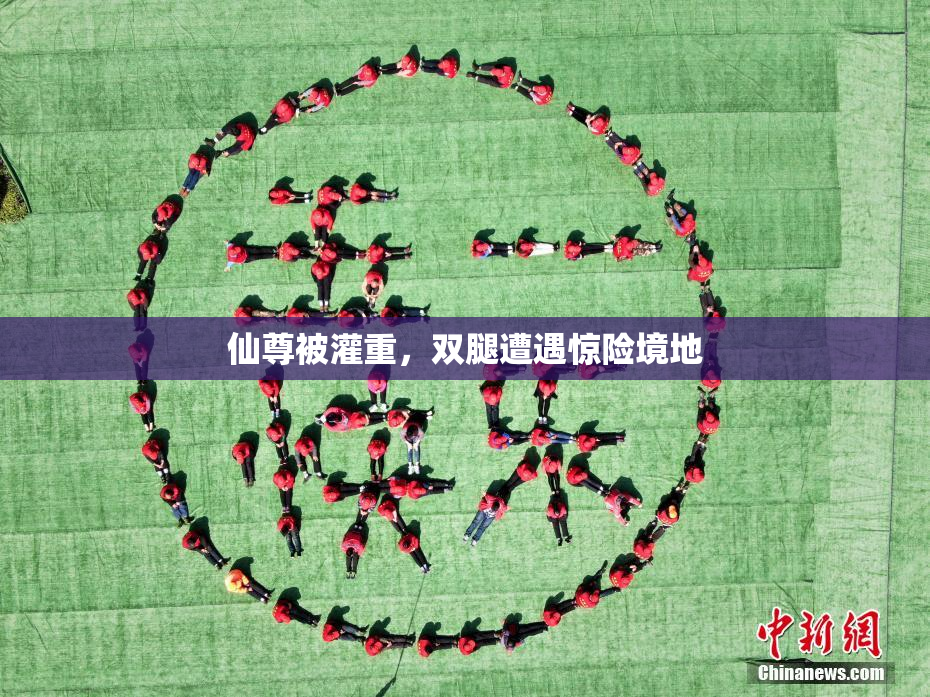 仙尊被灌重，双腿遭遇惊险境地