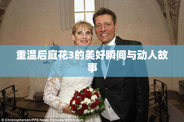 重温后庭花3的美好瞬间与动人故事