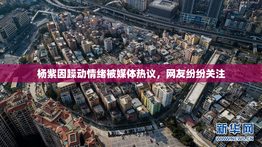 杨紫因躁动情绪被媒体热议，网友纷纷关注