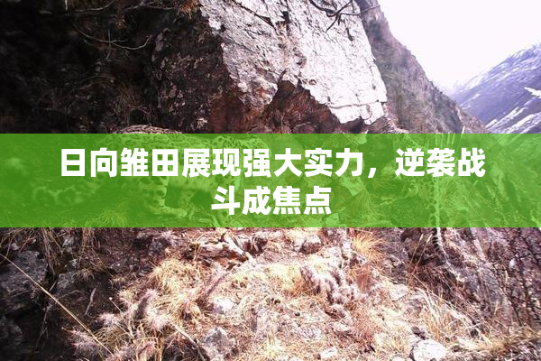 日向雏田展现强大实力，逆袭战斗成焦点