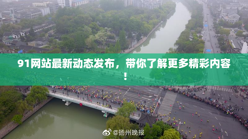 91网站最新动态发布，带你了解更多精彩内容！