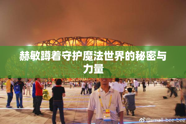 赫敏蹲着守护魔法世界的秘密与力量