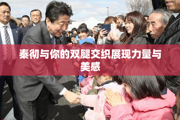 秦彻与你的双腿交织展现力量与美感
