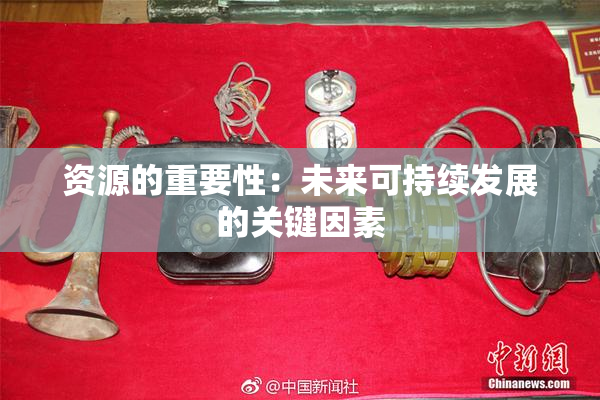 资源的重要性：未来可持续发展的关键因素
