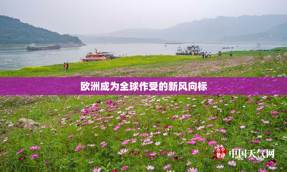 欧洲成为全球作受的新风向标