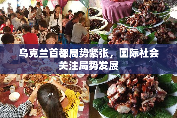 乌克兰首都局势紧张，国际社会关注局势发展