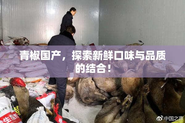 青椒国产，探索新鲜口味与品质的结合！
