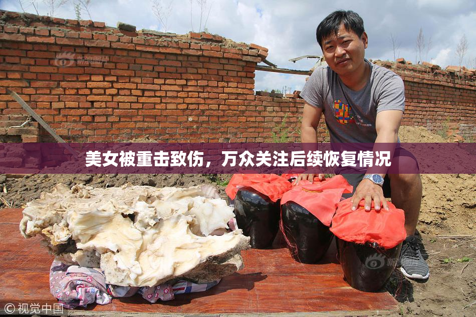 美女被重击致伤，万众关注后续恢复情况
