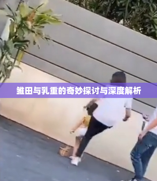 雏田与乳重的奇妙探讨与深度解析