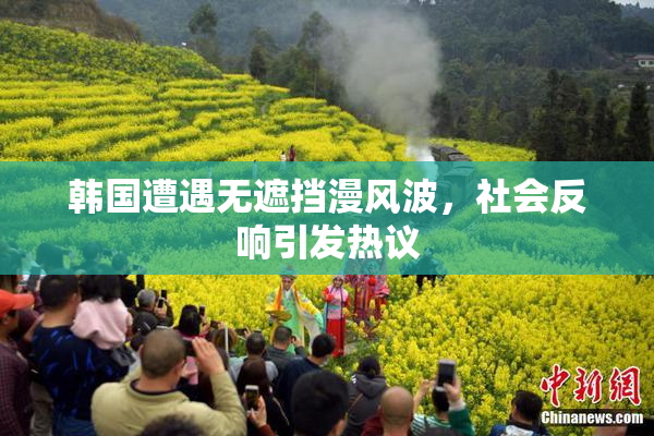 韩国遭遇无遮挡漫风波，社会反响引发热议