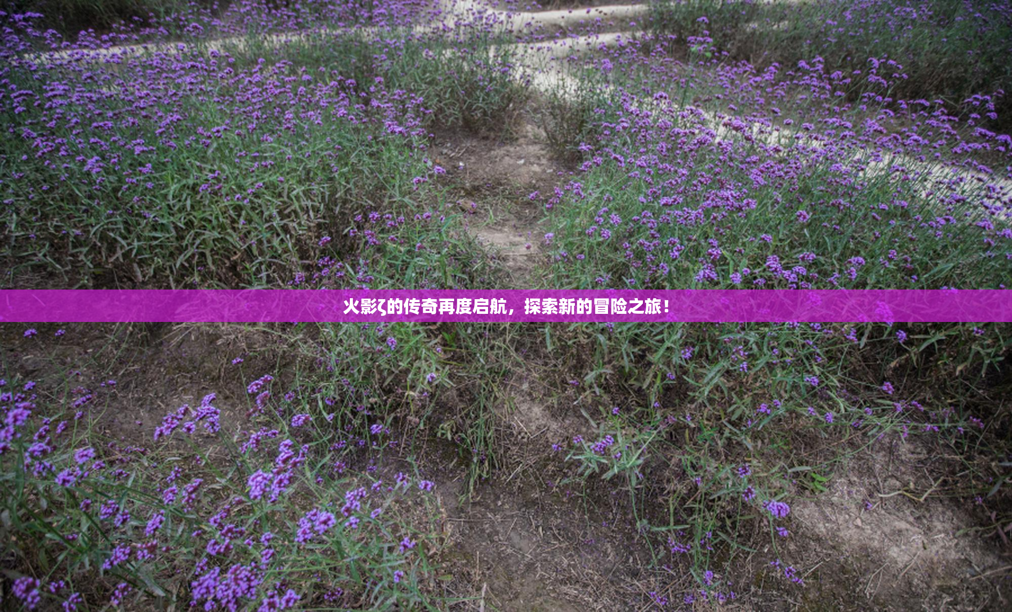 火影ζ的传奇再度启航，探索新的冒险之旅！