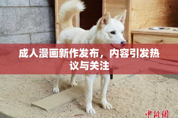成人漫画新作发布，内容引发热议与关注
