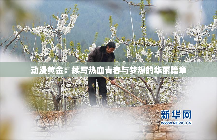 动漫黄金：续写热血青春与梦想的华丽篇章