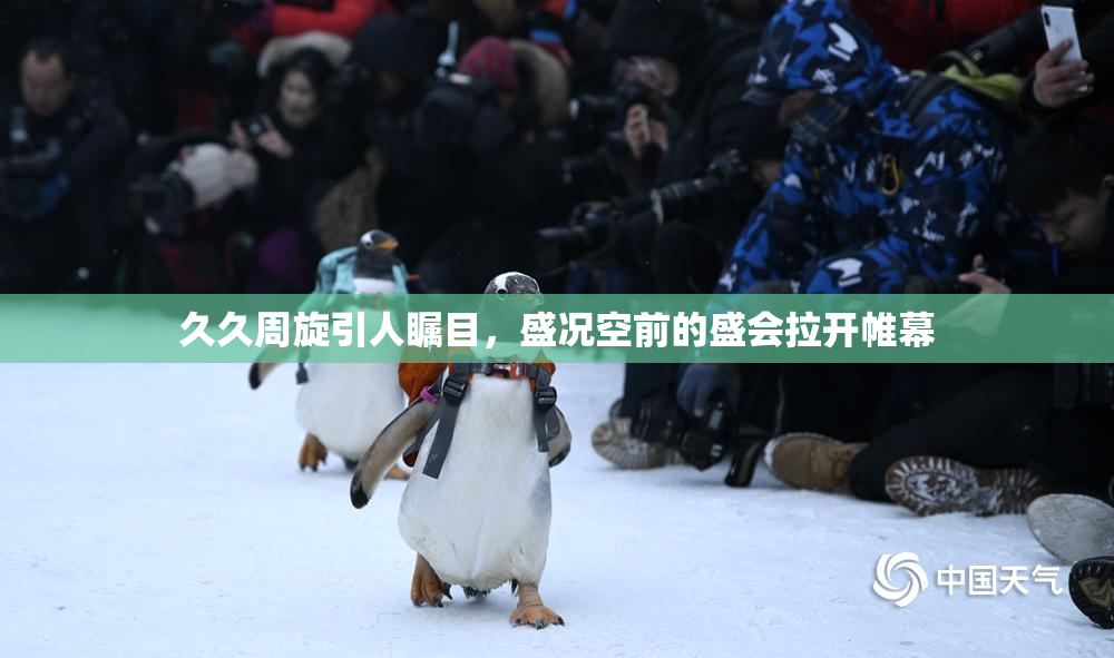 久久周旋引人瞩目，盛况空前的盛会拉开帷幕