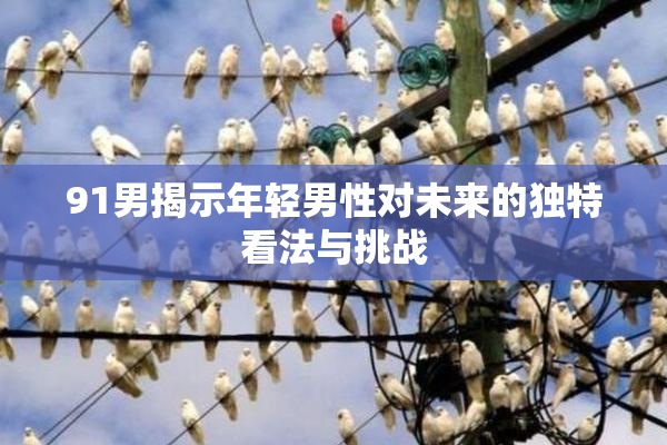 91男揭示年轻男性对未来的独特看法与挑战