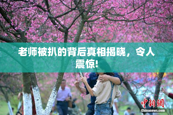 老师被扒的背后真相揭晓，令人震惊!