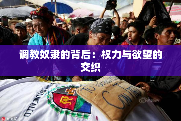 调教奴隶的背后：权力与欲望的交织