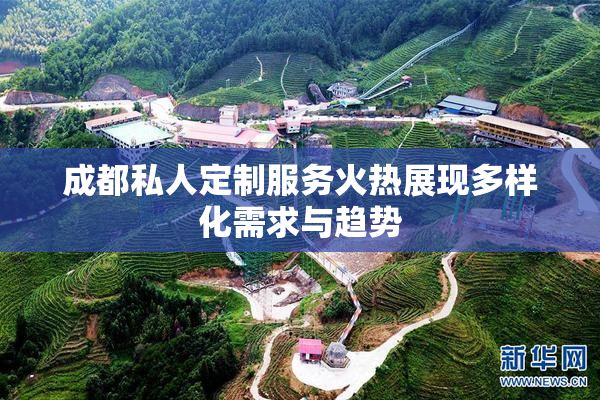 成都私人定制服务火热展现多样化需求与趋势