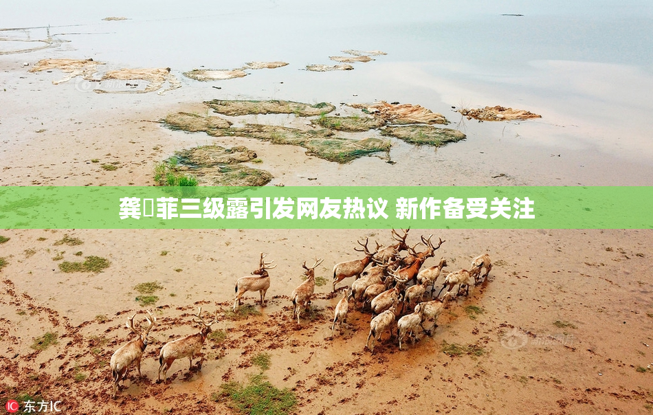 龚玥菲三级露引发网友热议 新作备受关注