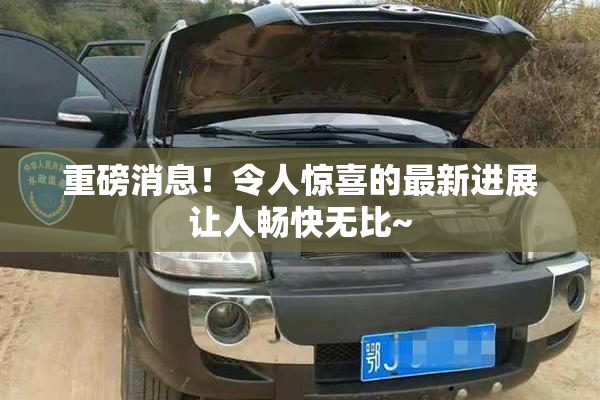 重磅消息！令人惊喜的最新进展让人畅快无比~