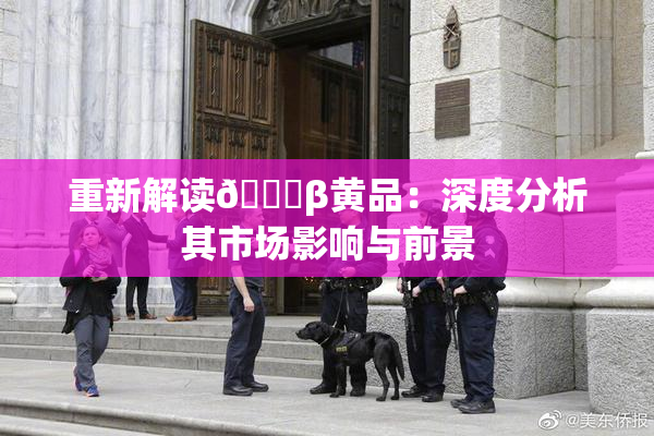 重新解读🔞β黄品：深度分析其市场影响与前景