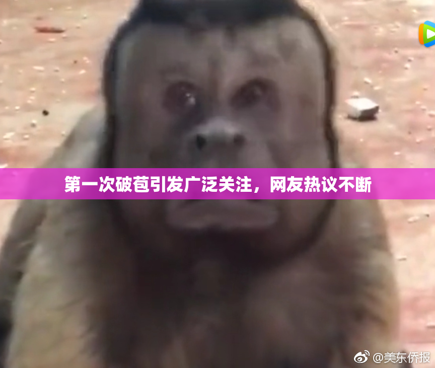第一次破苞引发广泛关注，网友热议不断
