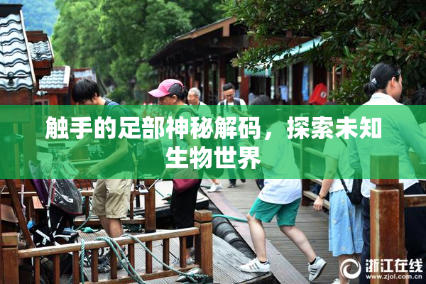 触手的足部神秘解码，探索未知生物世界