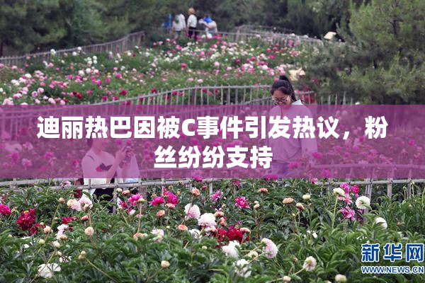 迪丽热巴因被C事件引发热议，粉丝纷纷支持