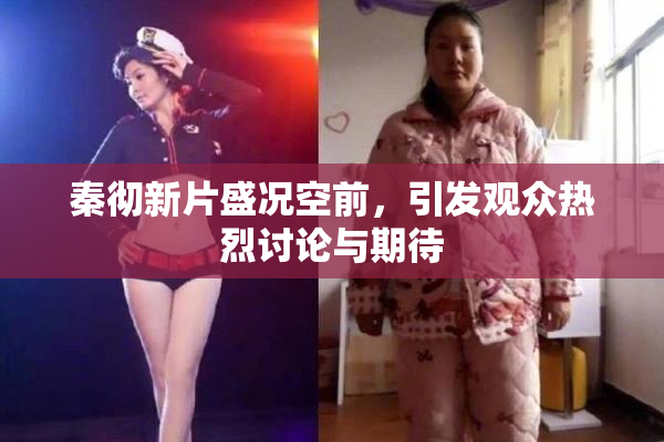秦彻新片盛况空前，引发观众热烈讨论与期待