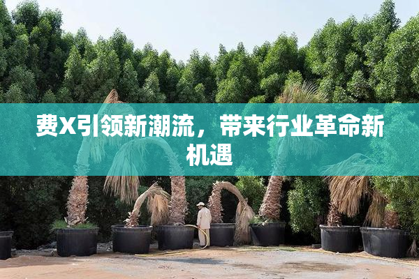 费X引领新潮流，带来行业革命新机遇