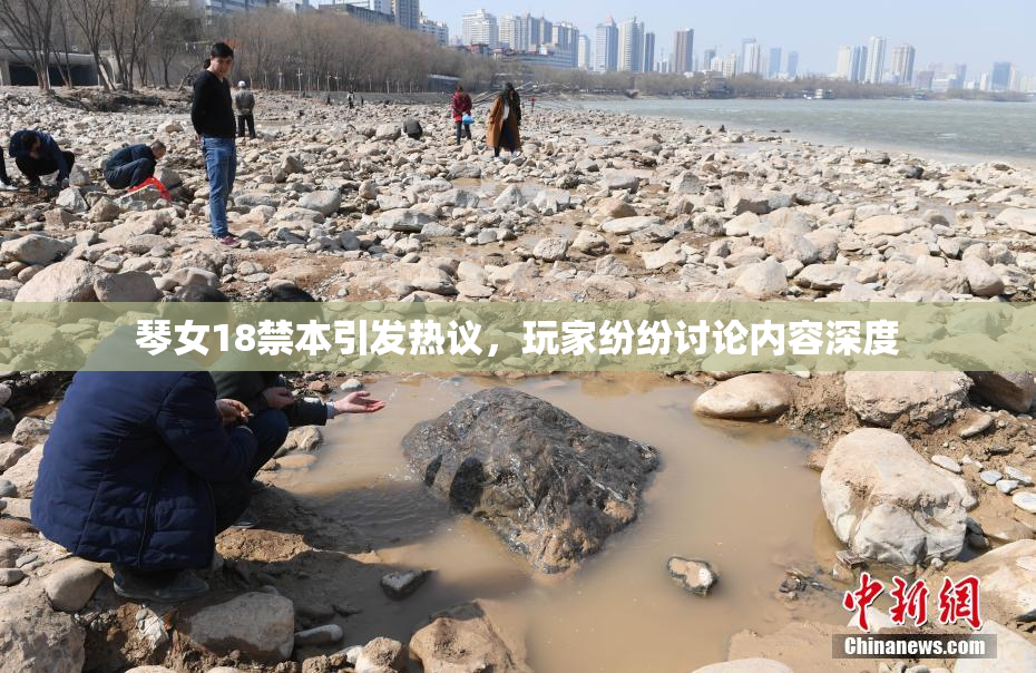 琴女18禁本引发热议，玩家纷纷讨论内容深度