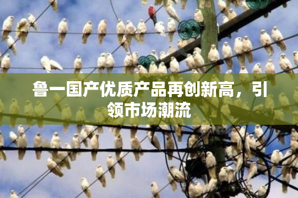 鲁一国产优质产品再创新高，引领市场潮流