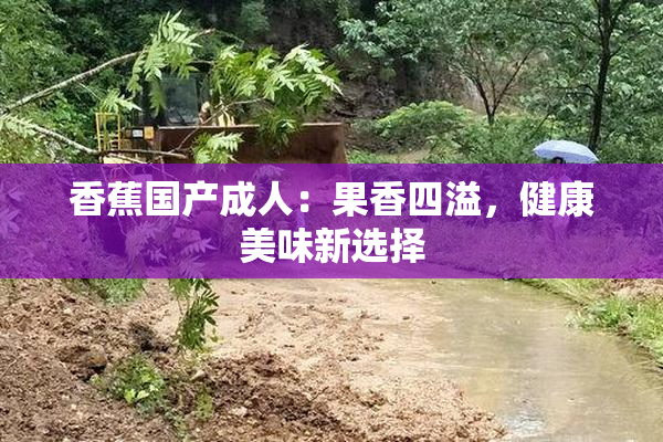 香蕉国产成人：果香四溢，健康美味新选择