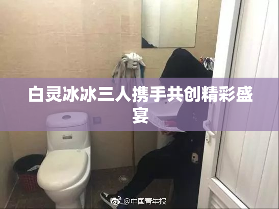 白灵冰冰三人携手共创精彩盛宴