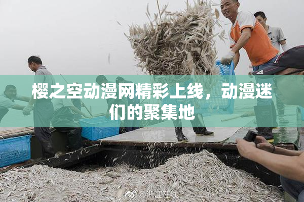 樱之空动漫网精彩上线，动漫迷们的聚集地