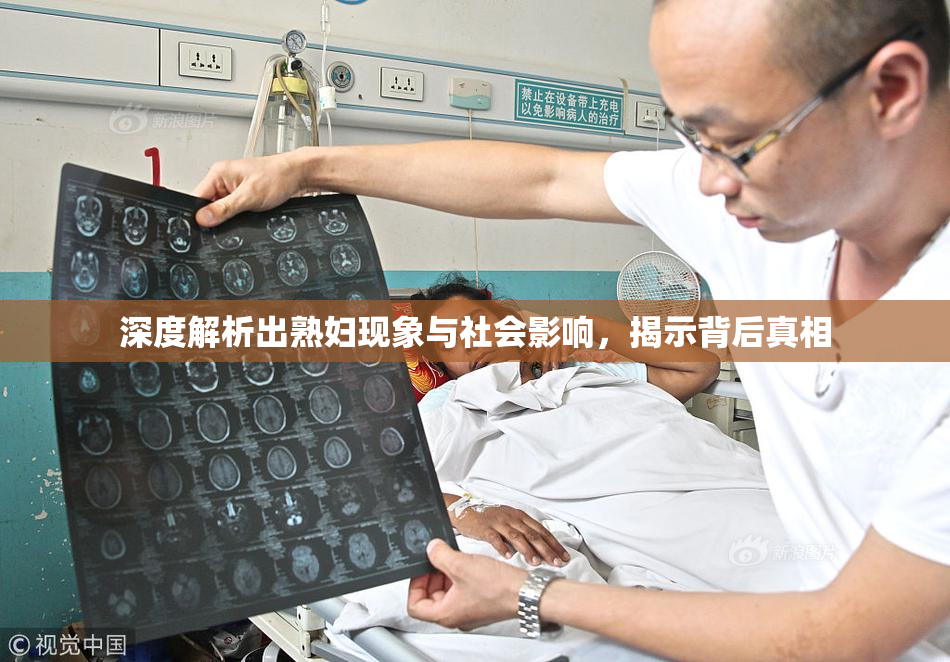 深度解析出熟妇现象与社会影响，揭示背后真相