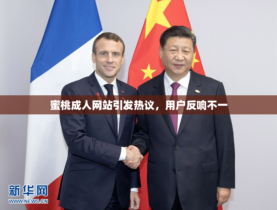 蜜桃成人网站引发热议，用户反响不一