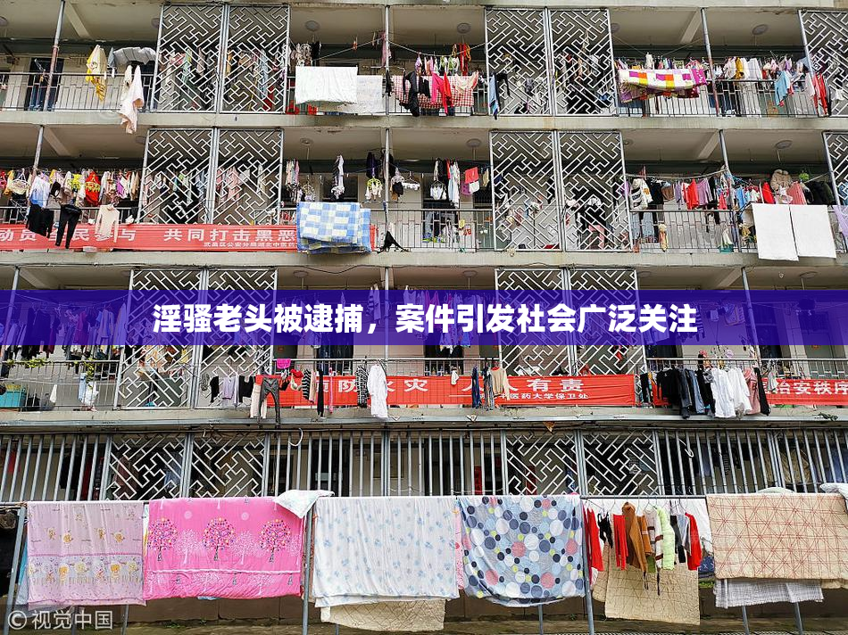 淫骚老头被逮捕，案件引发社会广泛关注
