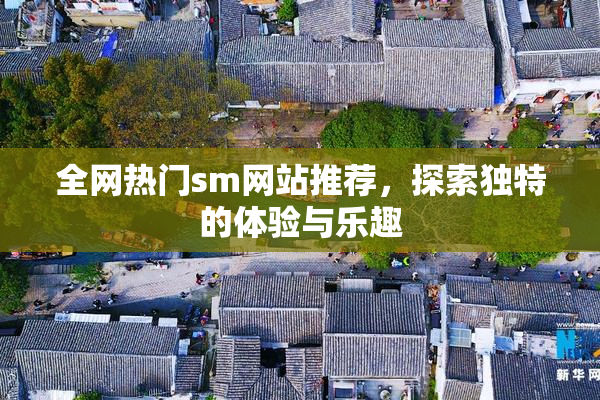 全网热门sm网站推荐，探索独特的体验与乐趣