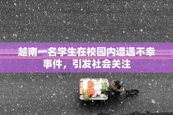 越南一名学生在校园内遭遇不幸事件，引发社会关注