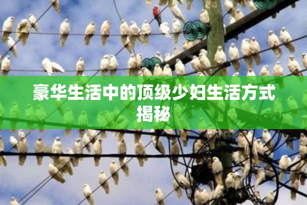 豪华生活中的顶级少妇生活方式揭秘