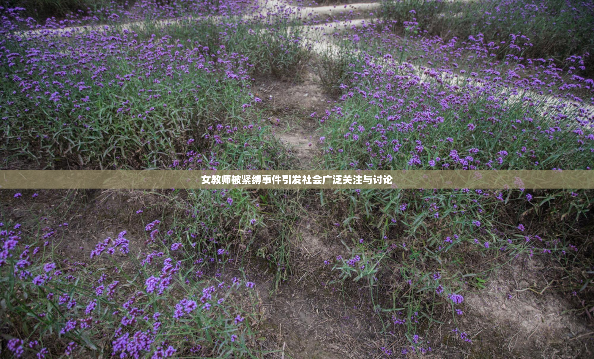 女教师被紧缚事件引发社会广泛关注与讨论