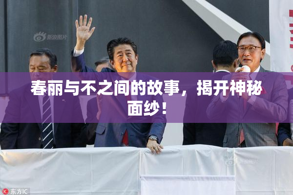 春丽与不之间的故事，揭开神秘面纱！