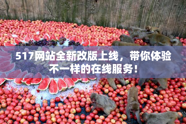 517网站全新改版上线，带你体验不一样的在线服务！