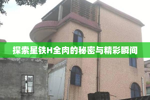 探索星铁H全肉的秘密与精彩瞬间