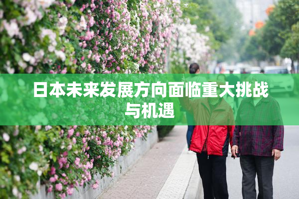 日本未来发展方向面临重大挑战与机遇